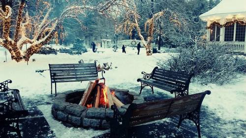 A cozy fire pit surrounded by benches in a snowy park, with trees adorned in twinkling lights.