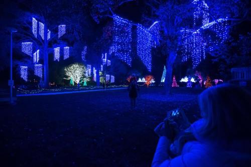 A person takes a photo of a park illuminated with colorful holiday lights at night, featuring trees and decorations.