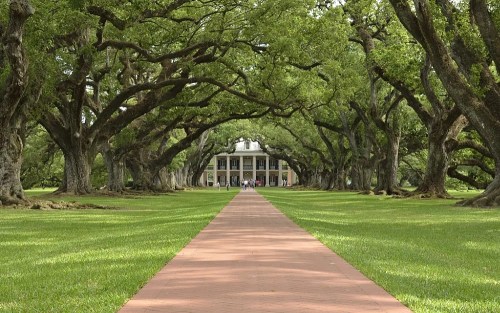 A tree-lined pathway leads to a grand mansion, surrounded by lush greenery and a serene landscape.