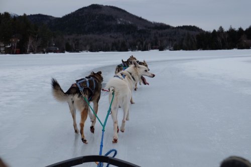 A team of sled dogs pulls a sled across a frozen lake, with mountains in the background under a cloudy sky.