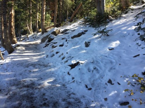 A snowy path winding through a forest with trees and rocks on either side.