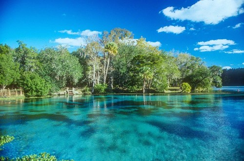 A serene lake surrounded by lush greenery and trees under a clear blue sky.