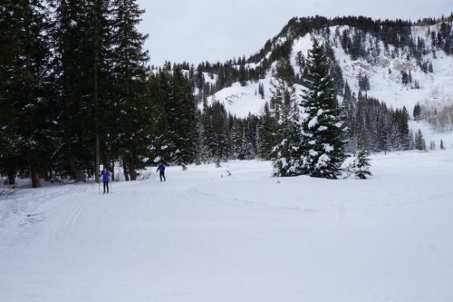 Two skiers navigate a snowy landscape surrounded by evergreen trees and mountains under a cloudy sky.