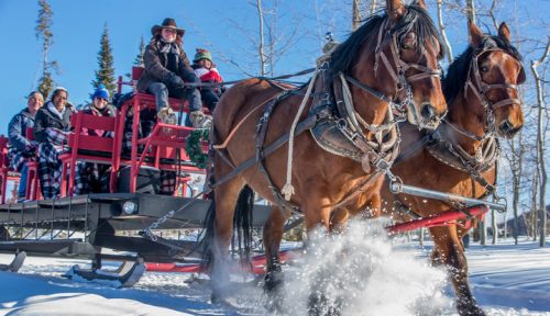 A horse-drawn sleigh rides through snowy terrain, carrying passengers bundled in blankets against a clear blue sky.