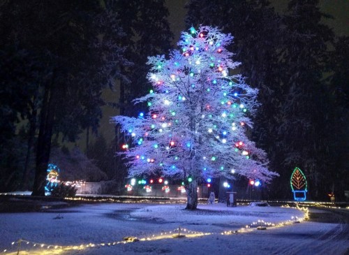 A snow-covered tree adorned with colorful lights, surrounded by a winter landscape and festive decorations.