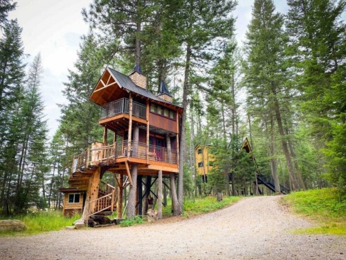 A charming treehouse nestled among tall trees, featuring a wooden deck and a winding gravel path.