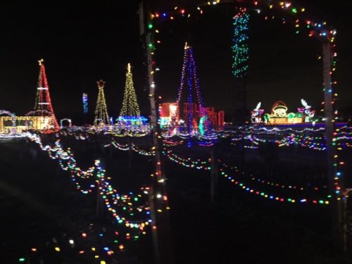 A festive display of colorful Christmas lights, featuring decorated trees and illuminated pathways in a dark setting.