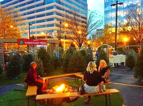 A cozy outdoor scene with people sitting around a fire pit, surrounded by Christmas trees and city buildings in the background.