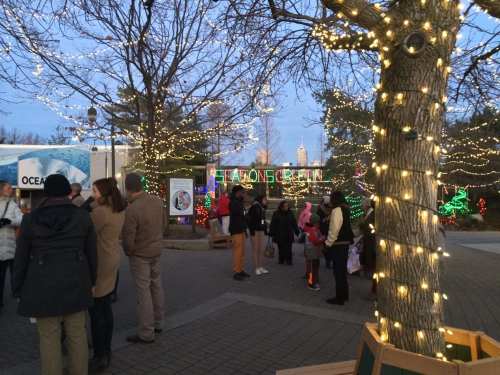 A festive outdoor scene with people gathered around holiday lights and decorations, trees adorned with twinkling lights.