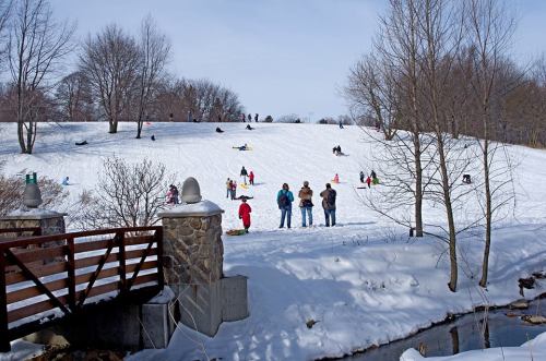 Children and families sledding down a snowy hill, with trees and a small bridge in the foreground.
