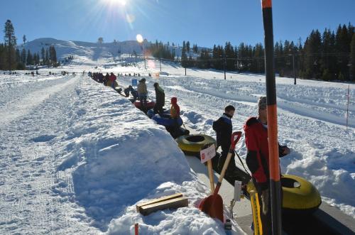 A snowy landscape with people waiting in line to go tubing down a hill, surrounded by trees and bright sunlight.