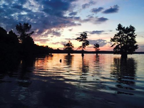 A serene sunset over a lake, with silhouetted trees reflecting on the water's surface and colorful clouds in the sky.