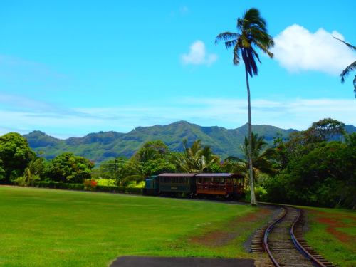 A vintage train on tracks near lush greenery and mountains under a bright blue sky with a palm tree.