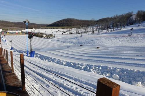 A snowy hill with sledding tracks, surrounded by trees and a clear blue sky, inviting for winter activities.