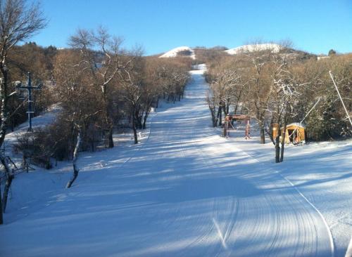 A snowy ski slope lined with bare trees under a clear blue sky, leading to distant hills.