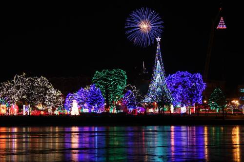 Colorful holiday lights illuminate trees and a Christmas tree, with fireworks in the night sky reflecting on water.