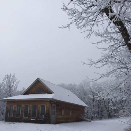 A wooden house surrounded by snow-covered trees on a cloudy winter day.