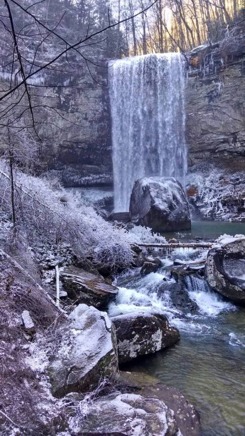 A frozen waterfall cascades over rocks, surrounded by icy trees and a serene, wintry landscape.
