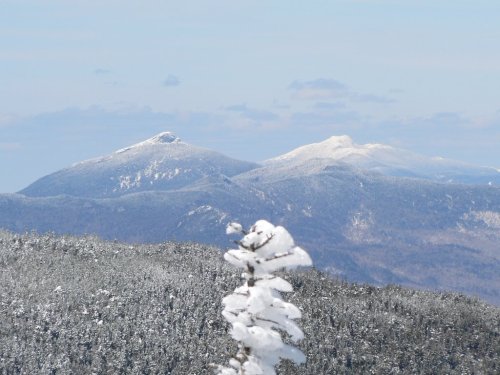 Snow-covered mountains rise in the distance, with a foreground of frosted trees under a clear blue sky.