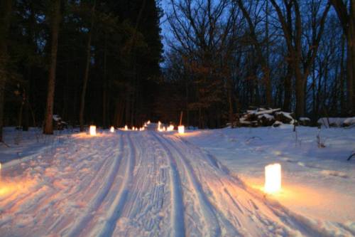 A snowy path illuminated by glowing lanterns, surrounded by trees in a serene, twilight setting.