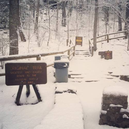 Snow-covered trail entrance with wooden signs and steps leading into a winter forest.