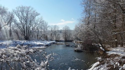 A serene winter landscape featuring a river surrounded by snow-covered trees and a clear blue sky.