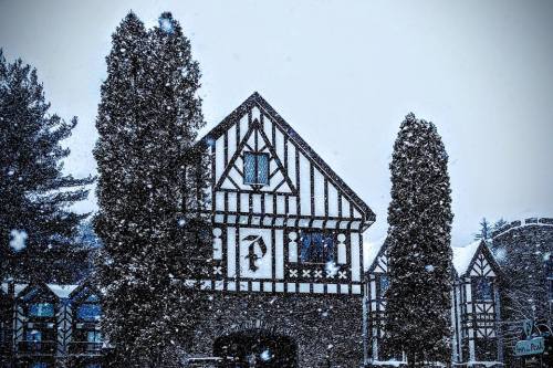 A snow-covered building with a distinctive timber-framed design, surrounded by tall evergreen trees.