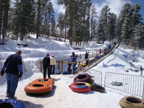 People enjoying a snow tubing park, with colorful tubes and a snowy landscape surrounded by tall pine trees.