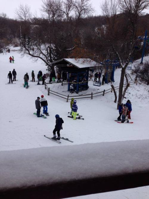 A snowy scene with people skiing and snowboarding near a small shelter surrounded by trees.