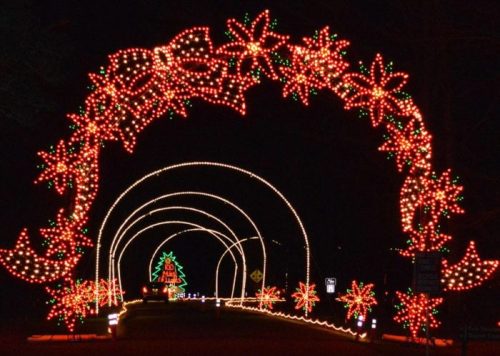 A festive display of colorful Christmas lights forming an archway with bows and stars, leading to a decorated tree.