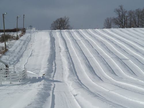 A snowy hill with smooth, curved tracks, lined by trees and a fence, under a cloudy sky.
