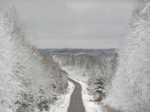 A winding road through a snowy landscape, flanked by trees covered in white frost under a cloudy sky.