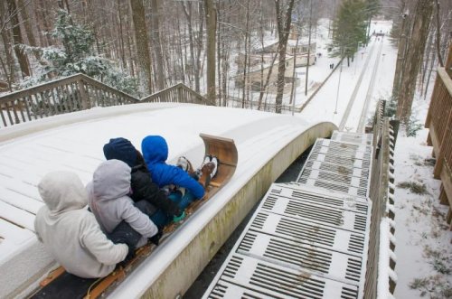 Children sledding down a snowy hill, surrounded by trees, with a winter landscape in the background.