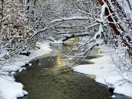 A serene winter scene of a snow-covered river winding through trees, with soft light reflecting on the water.
