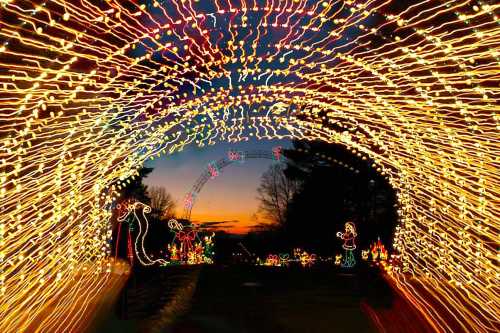 A vibrant display of holiday lights creates a glowing archway against a twilight sky.