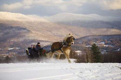 A horse-drawn sleigh carries two passengers through a snowy landscape with mountains in the background.