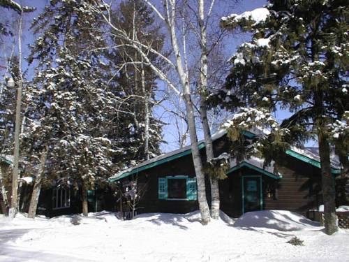 A cozy cabin surrounded by snow-covered trees on a bright winter day.