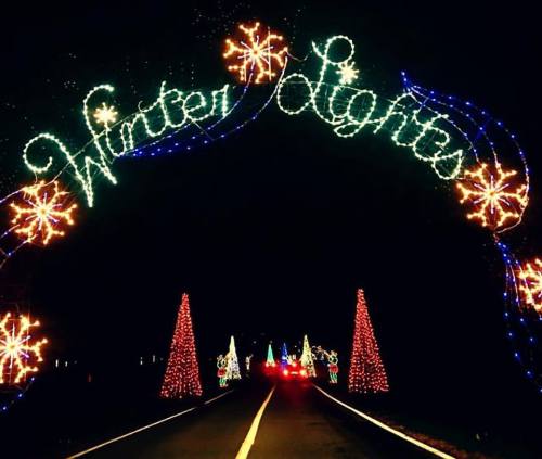 A festive archway of lights reading "Winter Lights" over a road lined with colorful holiday decorations and trees.