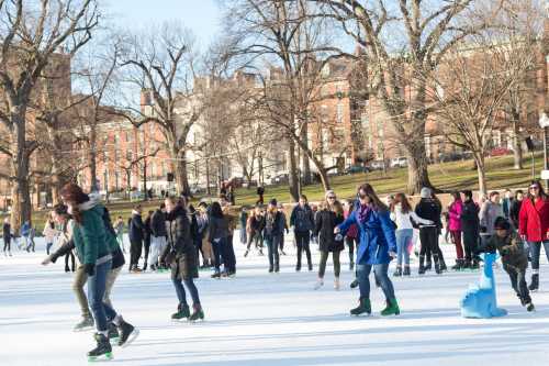 A busy outdoor ice skating rink with people of all ages skating and enjoying the winter day. Trees and buildings in the background.