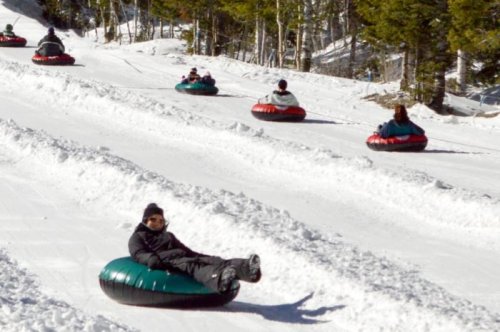 People enjoying snow tubing on a snowy slope, surrounded by trees in a winter landscape.