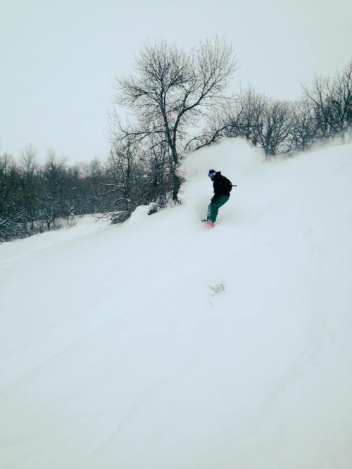 A snowboarder carves through fresh snow on a snowy slope, surrounded by trees in a winter landscape.