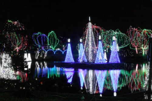 Colorful holiday lights illuminate trees and a pond at night, creating a festive winter scene.