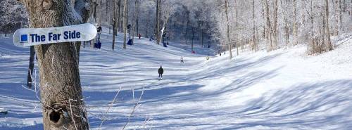 A snowy ski slope with a sign reading "The Far Side" and skiers in the distance among frosted trees.