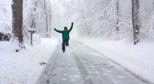 A person in a green jacket jumps joyfully on a snowy road surrounded by trees covered in white snow.