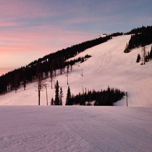 A serene winter landscape featuring snow-covered mountains and a pastel sunset sky. Pine trees line the foreground.