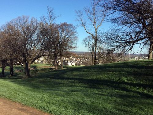 A scenic view of a grassy hill with bare trees, overlooking a small town and distant hills under a clear blue sky.