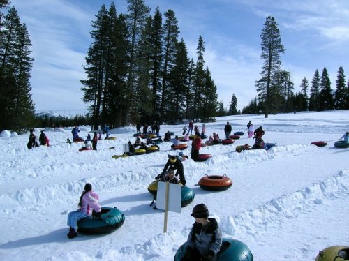 A snowy landscape with children and adults tubing on colorful inflatable tubes among tall pine trees.