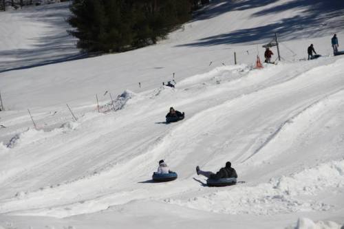 People tubing down a snowy hill, surrounded by trees and a clear blue sky.