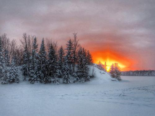 A snowy landscape with trees silhouetted against a vibrant orange sunset in a winter scene.
