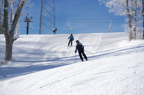Two skiers navigate a snowy slope under a clear blue sky, with trees and ski lift equipment in the background.